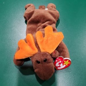 TY BEANIE BABY CHOCOLATE MOOSE